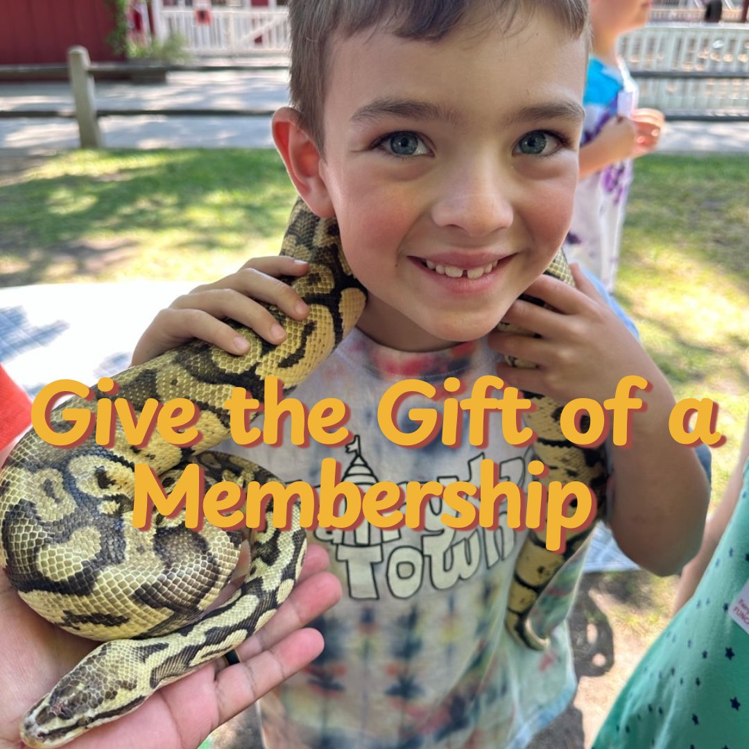 ❄️Give the Gift of a Membership!❄️

This holiday season we are offering a 10% discount on all membership levels! From now until December 16, 2024 @ 5 PM you can purchase, renew, or gift a membership for 10% off.
