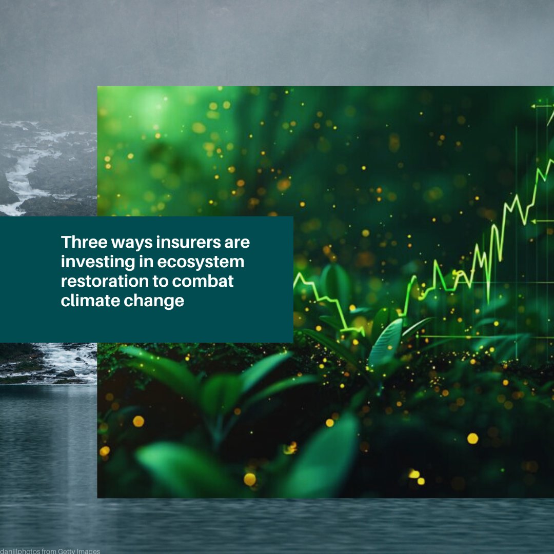 UN Environment Programme (@unep) on Twitter photo Insurers can play a vital role in #GenerationRestoration.
Following the #COP29 focus on financing climate action in developing countries @EricPusher of <a href="/UNEP_FI/">UNEP Finance Initiative (UNEP FI)</a> explains more in @mediaplanetuk: globalcause.co.uk/climate-action… #ClimateAction2024 Insurers can play a vital role in #GenerationRestoration.
Following the #COP29 focus on financing climate action in developing countries @EricPusher of <a href="/UNEP_FI/">UNEP Finance Initiative (UNEP FI)</a> explains more in @mediaplanetuk: globalcause.co.uk/climate-action… #ClimateAction2024