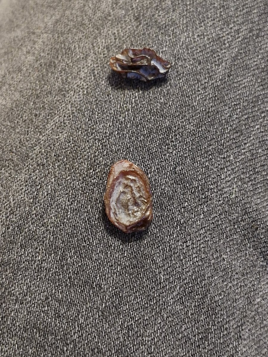 _maggie5_'s tweet photo. @asda are these raisins mouldy. Bought today and some are like this and some aren't.  I also bought 2 jars of spaghetti bolignaise sauce and didn't pay attention last night when opening it.  I poured it I to my mince and the sauce was mouldy.  I had to throw out my family dinner https://t.co/7MoFgEoZKs