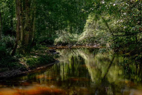 Join Us Tomorrow: Artist-In-Residence Talk w/ Clara Riedlinger

🗓️ Sat. 12/7
🕐 1-2 PM
 📍 <a href="/ErieCanalMuseum/">Erie Canal Museum</a> / in-person

Discover Artist-in-Residence Clara Riedlinger's project, Burned Over, which looks at the spiritual history of the #WNY landscape

Info: eriecanalmuseum.org/event/deeper-d…