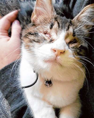 TheRealWorld tweet media