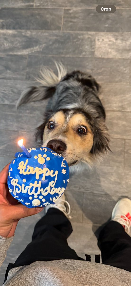 TheStevie_Jay's tweet image. Happy birthday to my baby boy loks ! Big 3 !