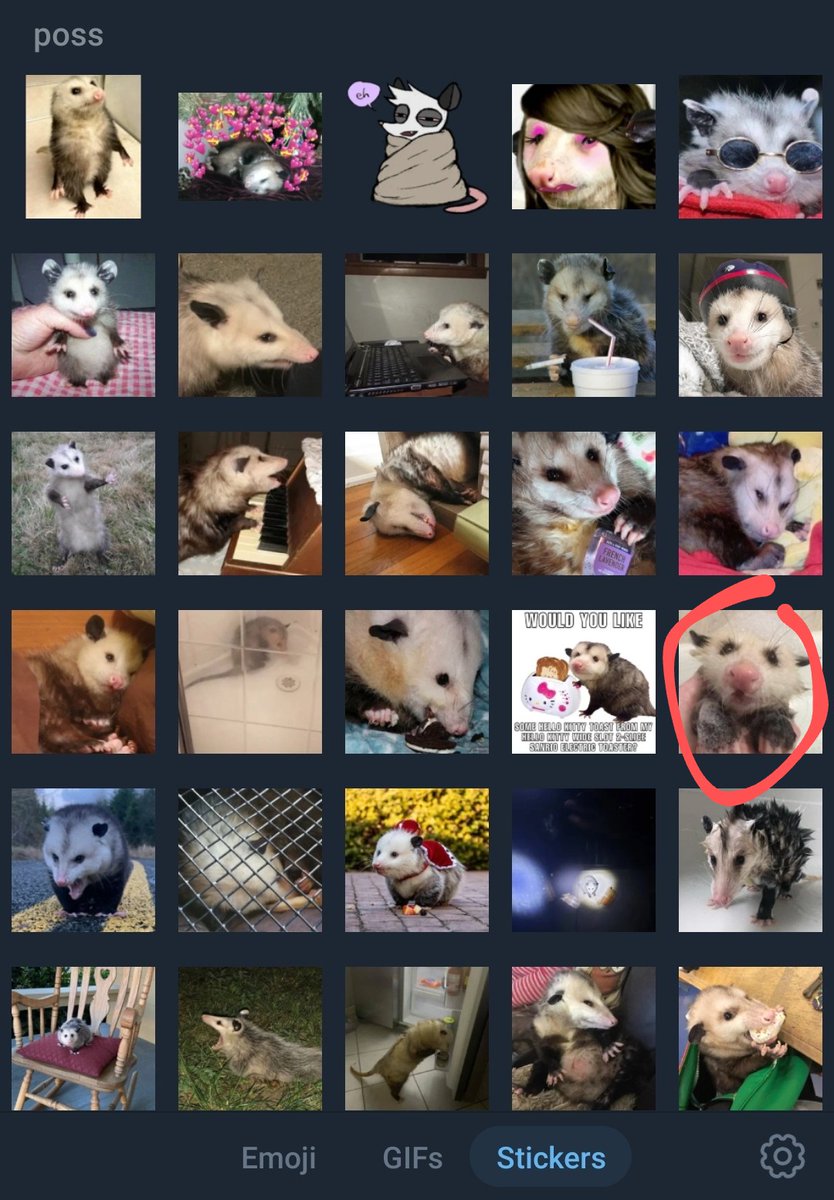 kitty_mutt's tweet photo. Ok #possum furries who is responsible for immortalizing my sweet baby in this sticker pack and WHERE DID U FIND THIS PIC OF HER LOL 
#telegramstickers https://t.co/yUPQFmz1Wu