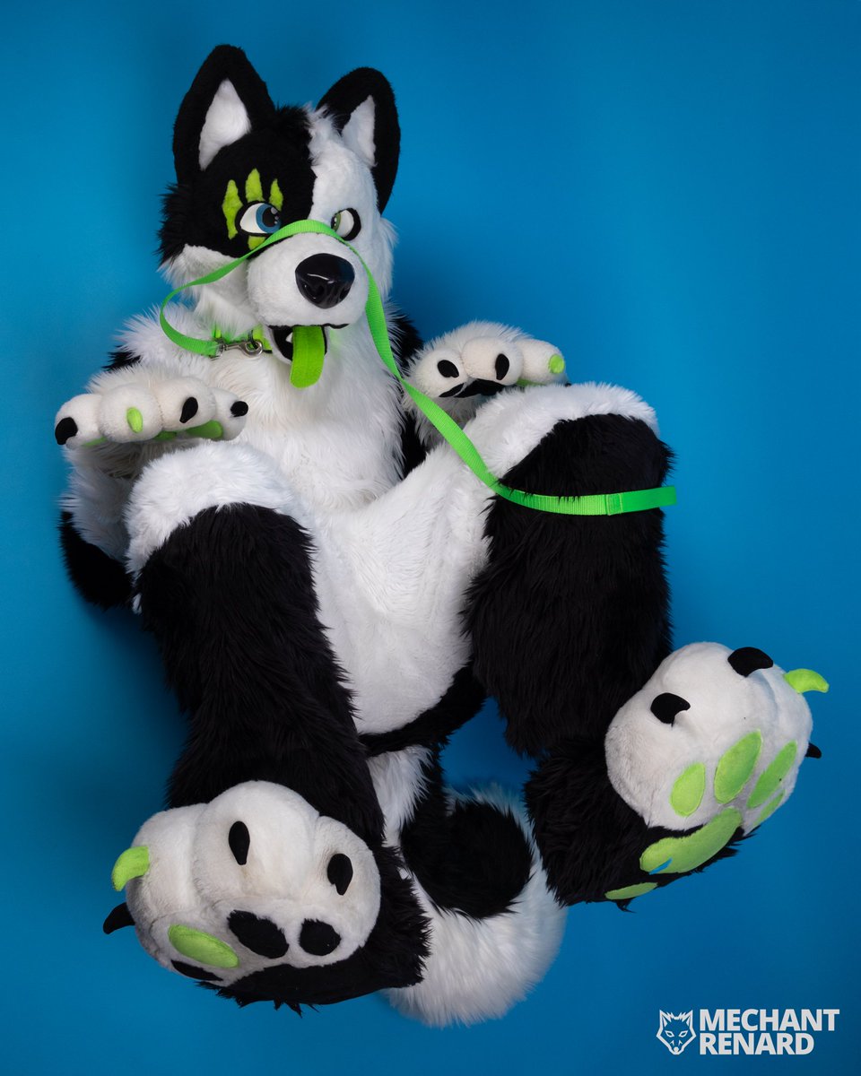 KybaCWC's tweet image. It's friday^^ I want belly rub !!
#FursuitFriday #fursuit
🪡 me ^^ CwC
📸 @mechantrenard