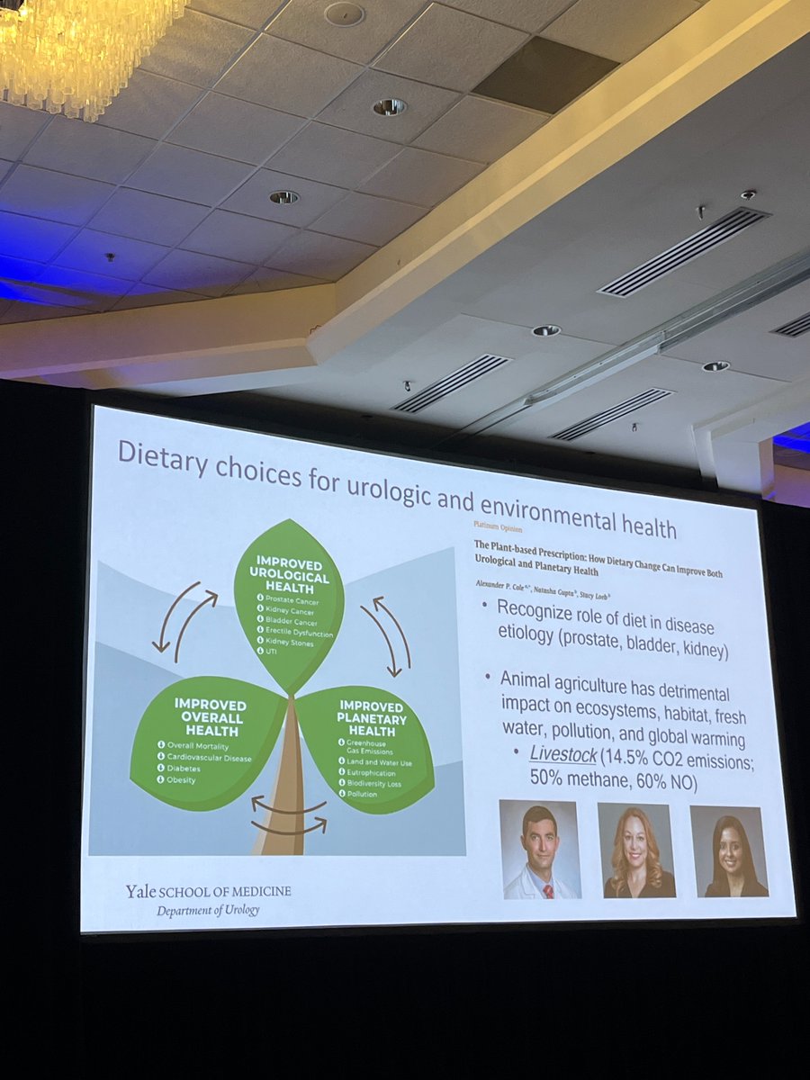 Alexander P Cole (@putnam_cole) on Twitter photo Grateful for <a href="/mleapman/">Michael Leapman</a> insightful talk on sustainability in #ProstateCancer care at #SUO2024 Honored by the shoutout to our <a href="/EUplatinum/">European Urology</a> paper with <a href="/LoebStacy/">Stacy Loeb, MD</a> <a href="/natgupta/">Natasha Gupta, MD MSc</a> —thank you! 🌿🙌 <a href="/SUO_YUO/">YUO</a> <a href="/ASCO/">ASCO</a> <a href="/CassandraLThiel/">Cassandra L. Thiel, PhD</a> #SustainabilityInMedicine Grateful for <a href="/mleapman/">Michael Leapman</a> insightful talk on sustainability in #ProstateCancer care at #SUO2024 Honored by the shoutout to our <a href="/EUplatinum/">European Urology</a> paper with <a href="/LoebStacy/">Stacy Loeb, MD</a> <a href="/natgupta/">Natasha Gupta, MD MSc</a> —thank you! 🌿🙌 <a href="/SUO_YUO/">YUO</a> <a href="/ASCO/">ASCO</a> <a href="/CassandraLThiel/">Cassandra L. Thiel, PhD</a> #SustainabilityInMedicine