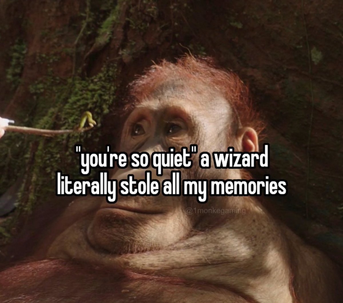 eat5G's tweet image. 