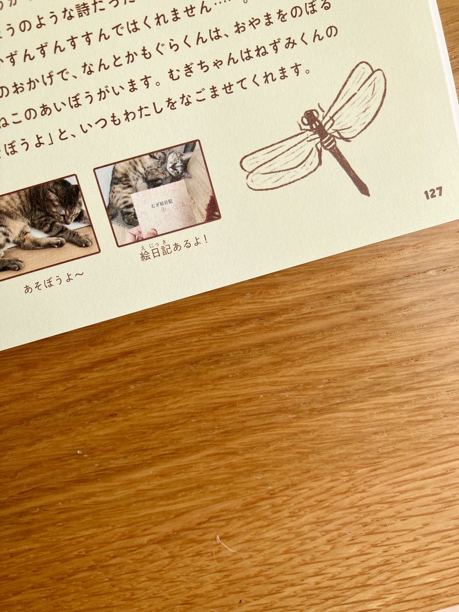 12月6日(金)発売の絵本雑誌『さがるまーたv0l.2』(講談社)の中で、豪華すぎる作家さんたちに混じって「ねえねえもぐらくん」という5ページの絵本を描いています!インタビューコーナーではおまけの4コマ漫画のほか、なんと愛猫むぎちゃんのことにも触れていただきました。https://t.co/6eT0x7kaH7