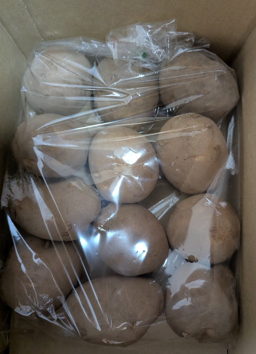 gawa_off's tweet photo. カルビーさんありがとう!
じゃがいも好きなので美味しくいただきます! https://t.co/gsNLSlzQNn