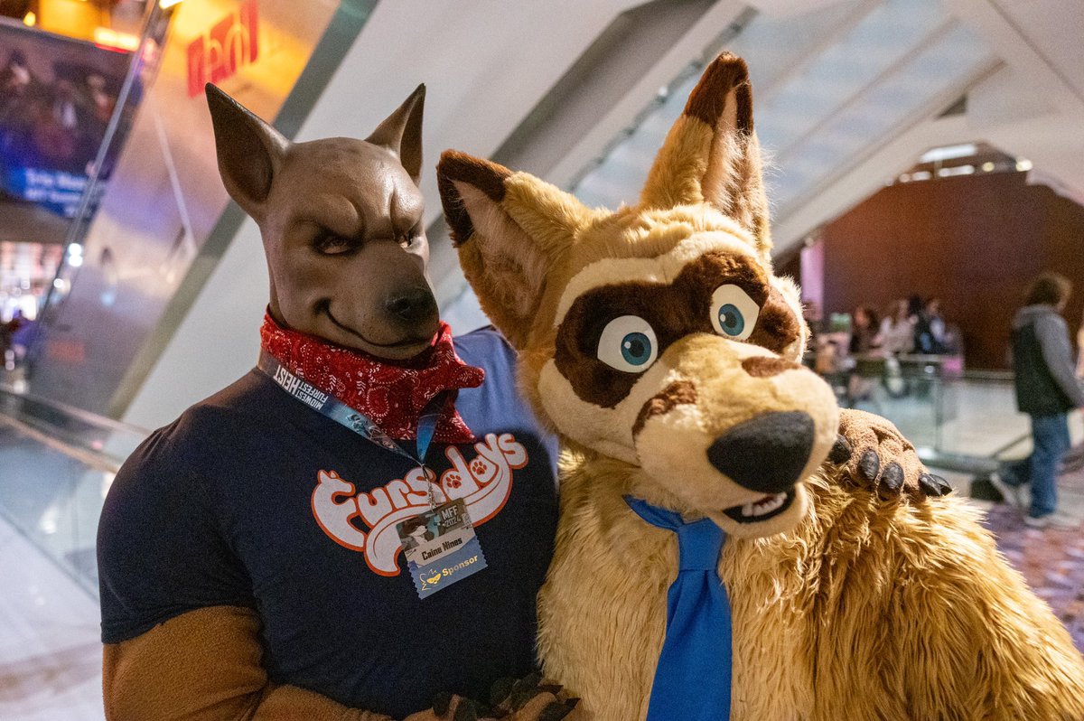 cainenines's tweet photo. Met the guy from the website!
With @thecoopertom at @FurFest
#furry #fursuit #puppy #dog #xolo #ferrox #FurFest #FurFest24 https://t.co/gGcn4fs5VB