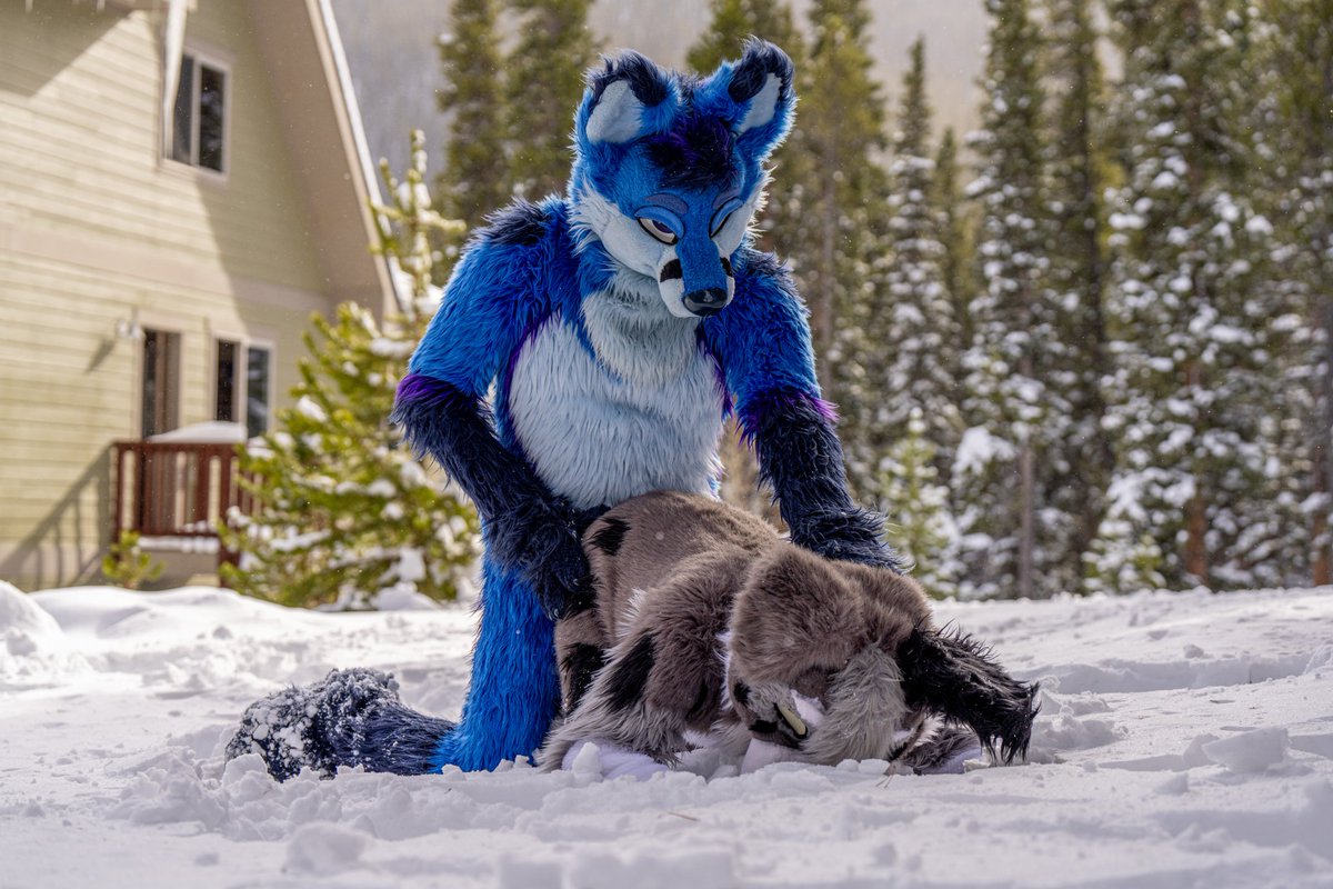 Dexter Shepherd (@dextershepherd) on Twitter photo Hey <a href="/EtchyEtch/">Etchy ๐ MP</a> what do you call a funny bone put in boiling water?
Etchy: idk what?
Me: laughing stock!
Etchy: *sighs*
Me: you don't find that humerus?
Etchy: *pushes my muzzle into snow.*
Picture by <a href="/KooperShiba/">๐๐๐๐๐๐ ๐</a>
#FursuitFriday Hey <a href="/EtchyEtch/">Etchy ๐ MP</a> what do you call a funny bone put in boiling water?
Etchy: idk what?
Me: laughing stock!
Etchy: *sighs*
Me: you don't find that humerus?
Etchy: *pushes my muzzle into snow.*
Picture by <a href="/KooperShiba/">๐๐๐๐๐๐ ๐</a>
#FursuitFriday