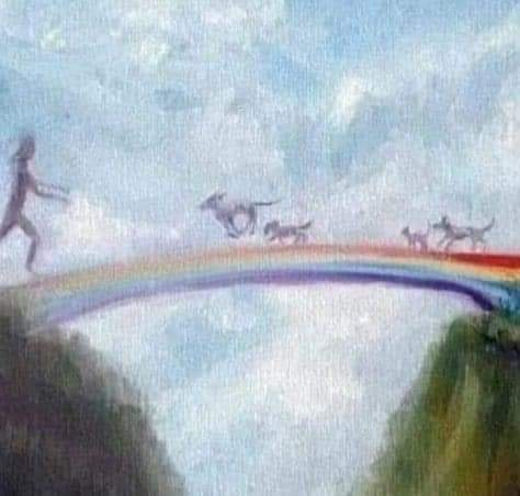 Heaven's "Rainbow Bridge"