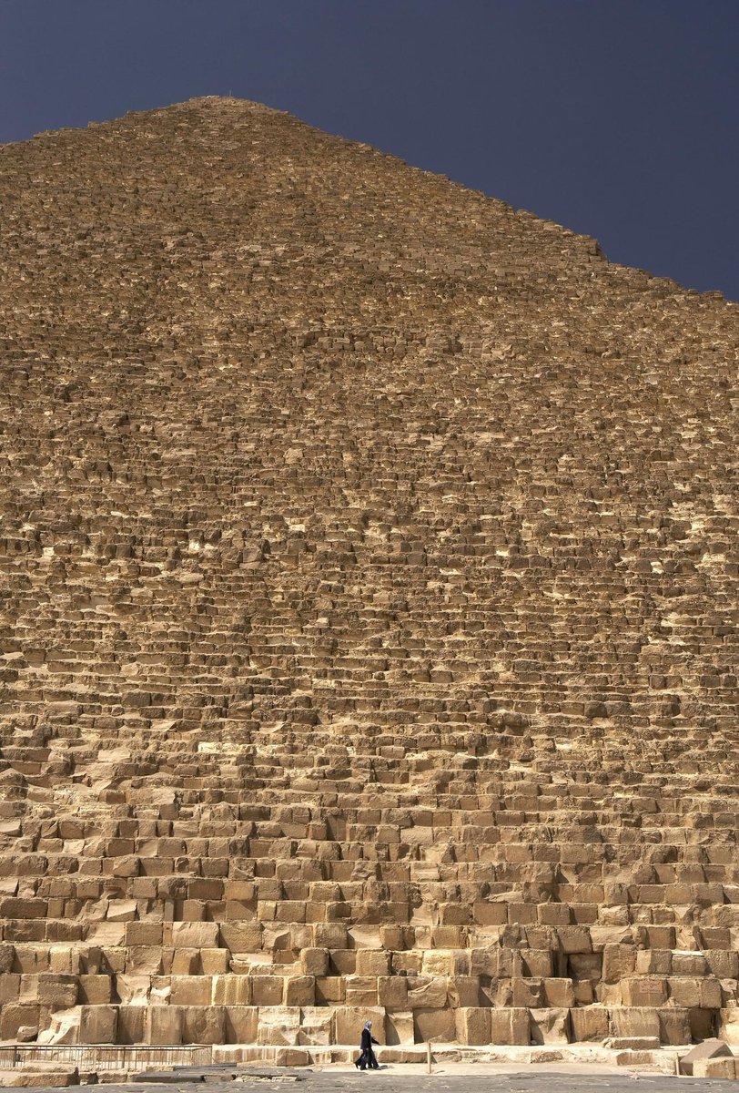 Egypt Museum tweet media