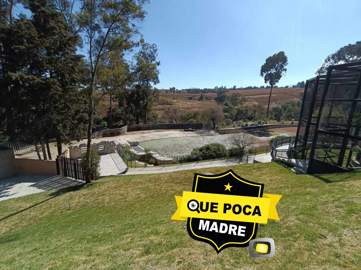 QuePocaMadre_Mx's tweet image. ❌DENUNCIAN PÉSIMAS CONDICIONES DE ANIMALES EN EL #ZOOLÓGICO DE @zacangoedomex 😡

👉Queremos denunciar el estado en el que se encuentran los #hipopótamos del Zoológico de Zacango, como ellos no ladran no los atienden, ni cuidan es indignante ver como los tienen. Si nos ayudan a