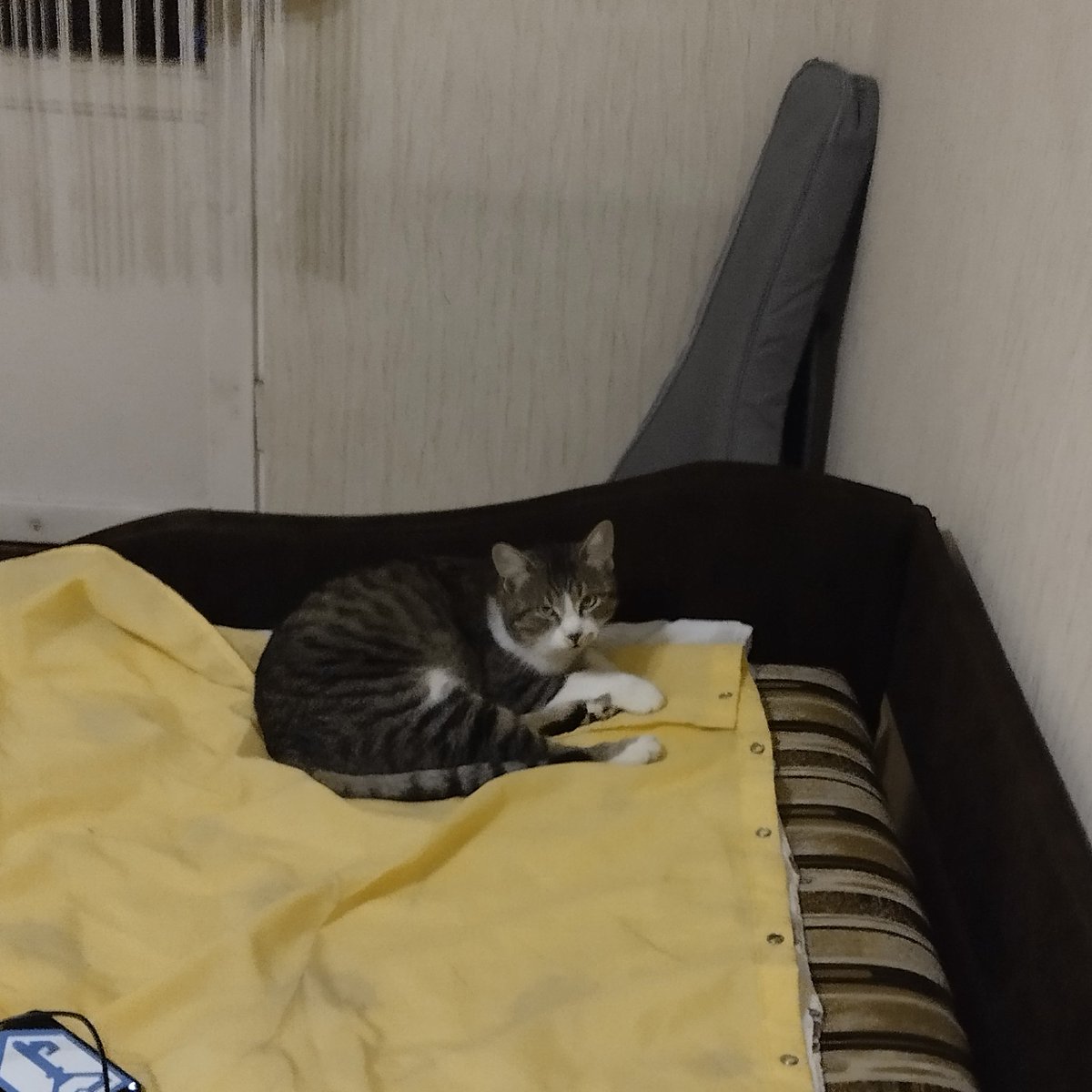 Andrzej Mic tweet media