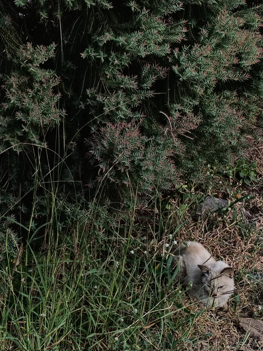 Good morning, world! Make someone smile today, including yourself.🌬️🌲🌞