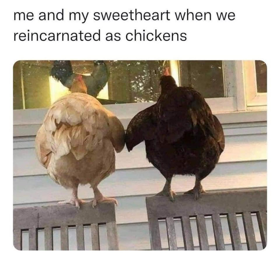 RespectfulMemes's tweet photo. https://t.co/Jejx2zYGAa