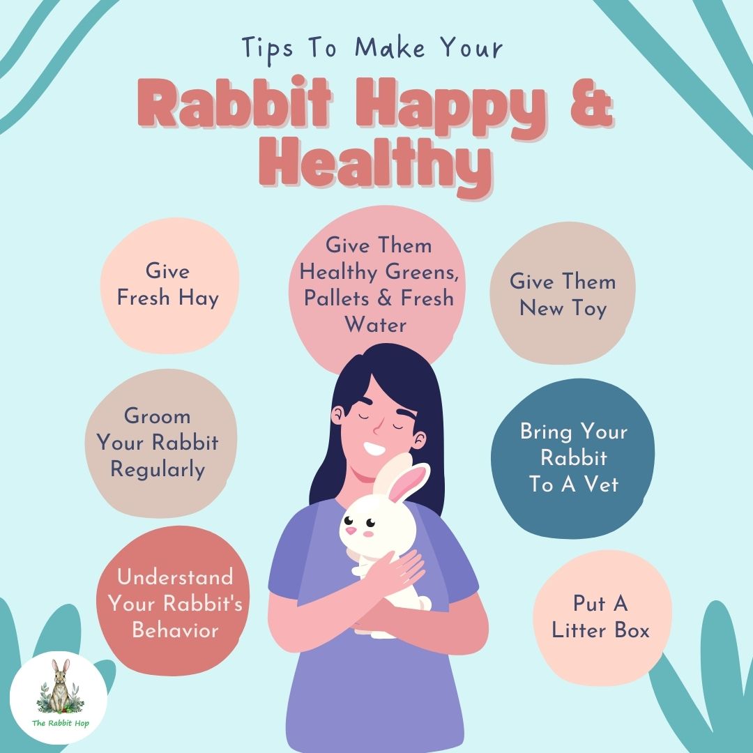 Hop1Rabbit's tweet photo. Here are some tips to keep your rabbit happy and healthy! 🐰💚🌿

Tap the link for more tips: https://t.co/78sTGq8sLY

#HappyRabbit #HealthyPets #RabbitCare #PetTips #BunnyLove #FurryFriends #AnimalCare #PetHealth #RabbitLovers #BunnyCare #PetParenting #FluffyFriends #CuteRabbits https://t.co/iZqPacpD46