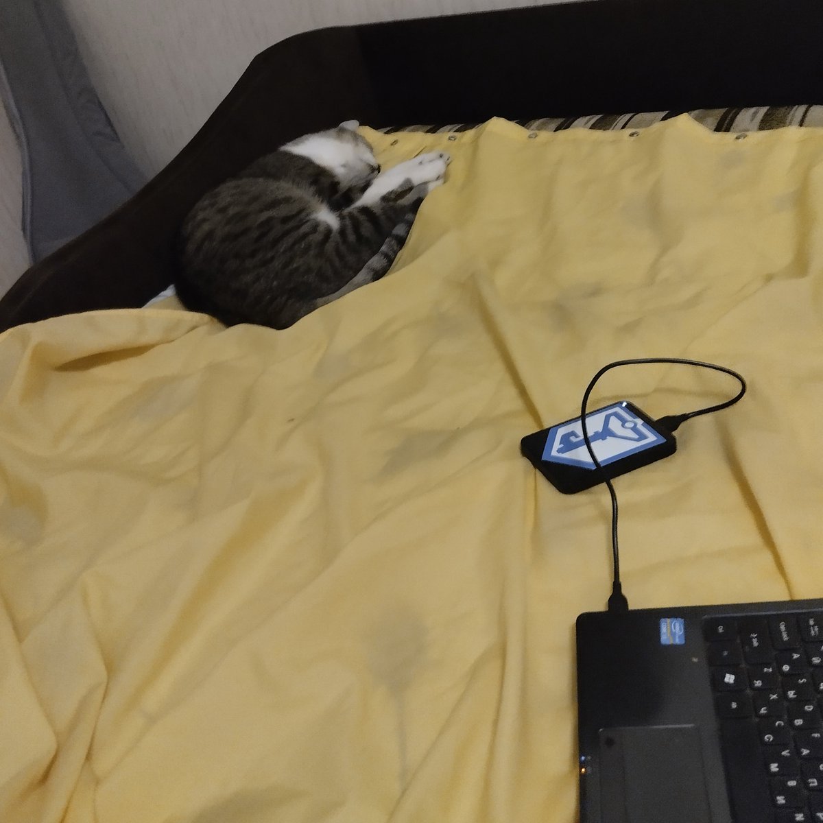 Andrzej Mic tweet media