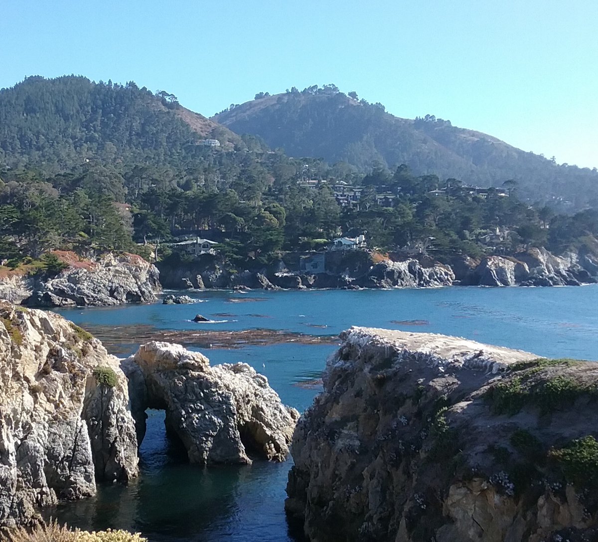 Tom Brighton (@tom772355) on Twitter photo 