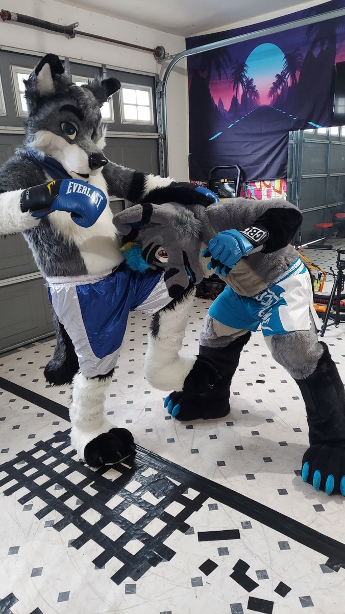 Head kick! 💫💤💦

🤤: <a href="/Cobaltthewuff/">A Public Embarrassment @MFF 2024! 🐺</a> 
#FursuitFriday