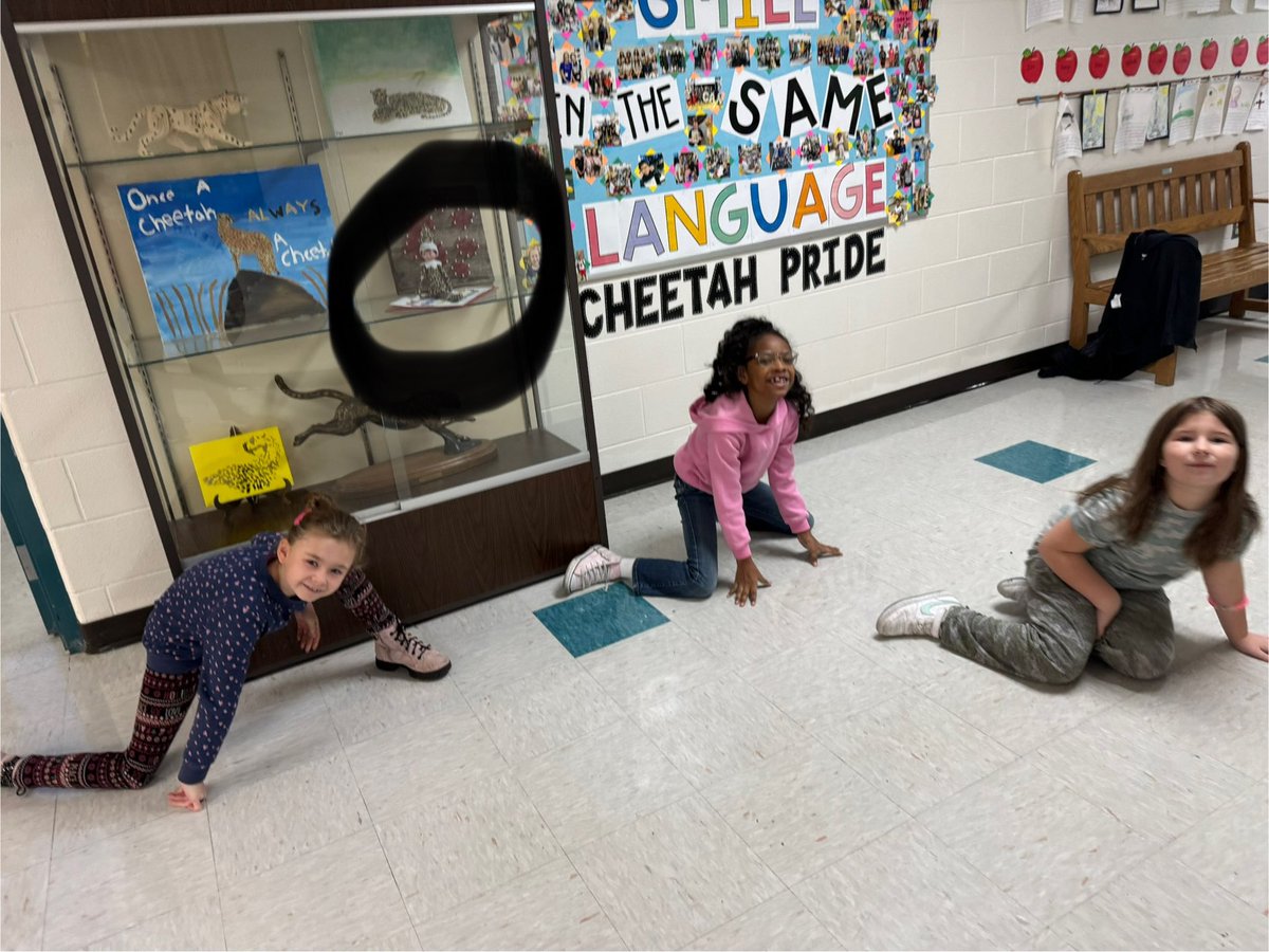 We love looking for our elf, Cheeto, each day! She can even do the splits! #cheetahstweet
