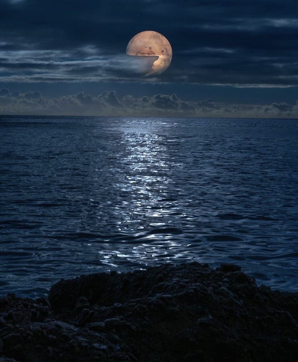 Have a good night… 🌌

                                                     ✨