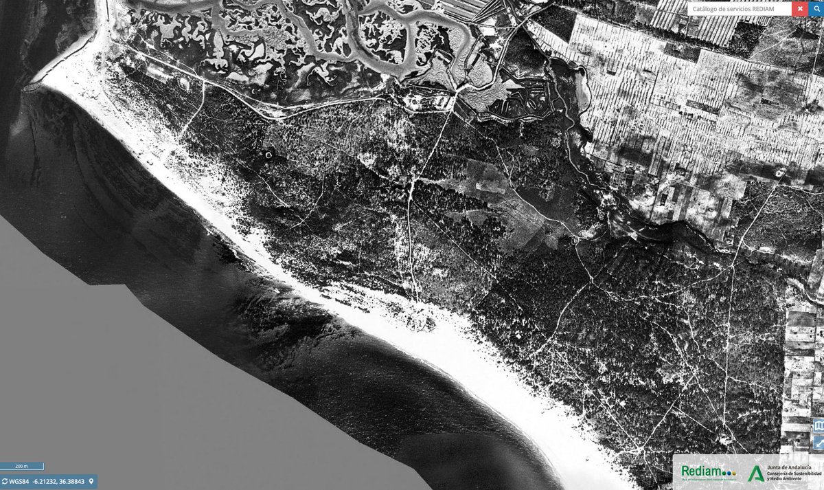 PAISAJE_lab's tweet image. Costa de Chiclana (Cádiz) en 1956 y ahora