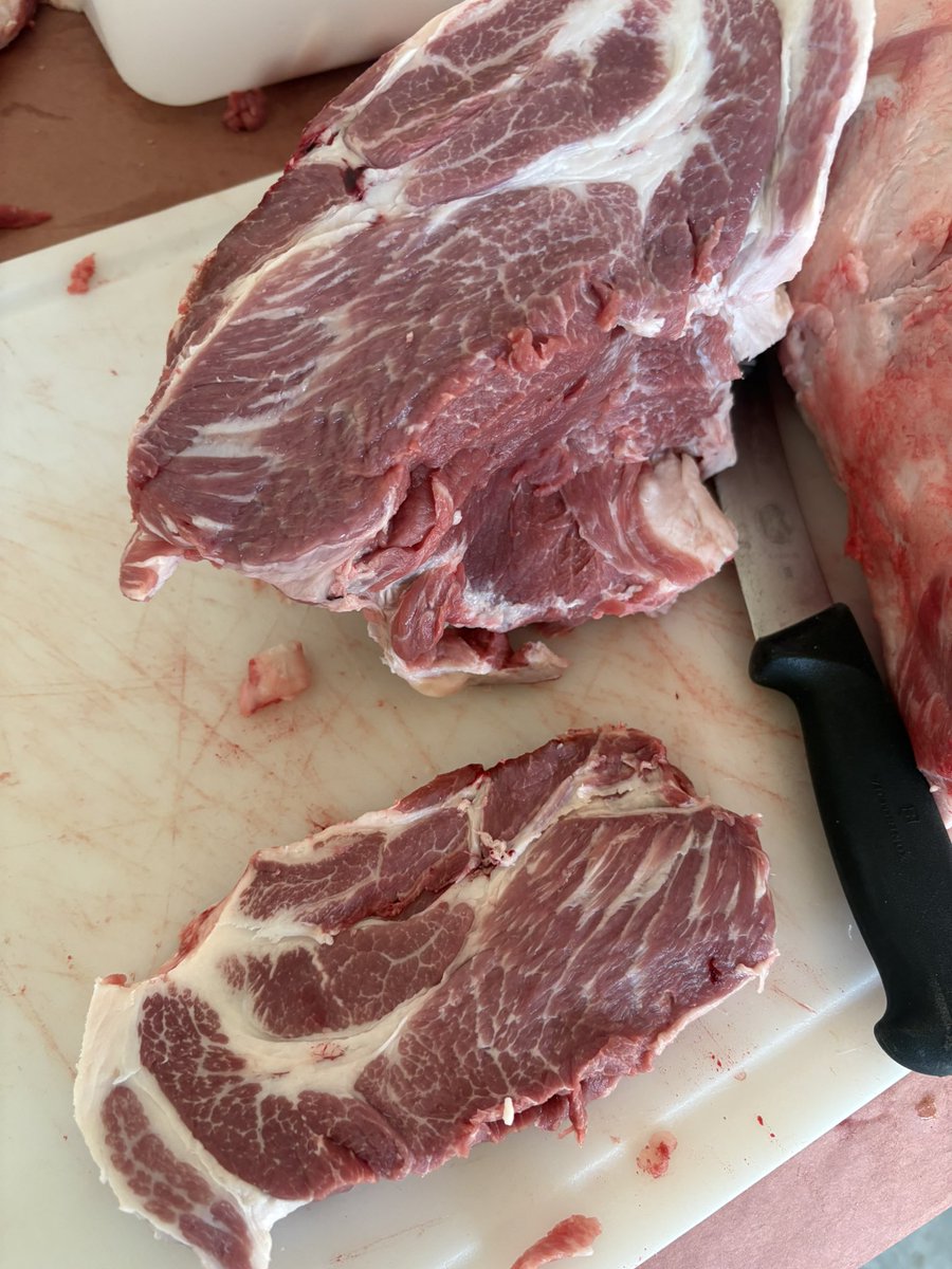 zebulousprime's tweet photo. Pork shoulder on dirt. The other red meat. #stockcropper https://t.co/DEB0b4iwtY