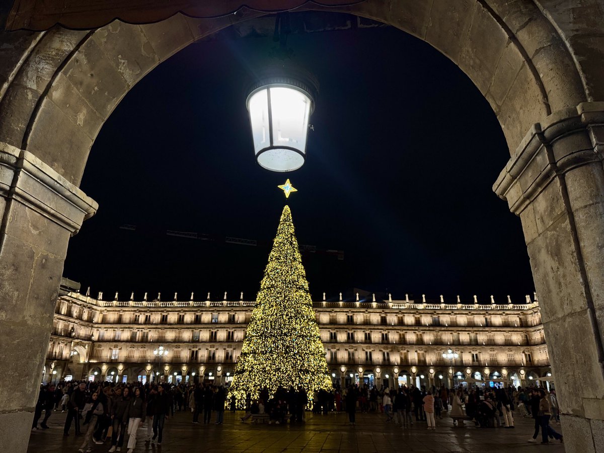 tdsalamanca's tweet photo. 🎄El gran protagonista de nuestra Navidad. Un árbol espectacular de 23 metros de altura y una proyección de videomapping en 360º en la Plaza Mayor

Todos los días a las 19:00, 20:00, 21:00 y 22:00 horas. El 24 y el 31 de diciembre pases a las 19:00 y 20:00 horas ¡impresionante! https://t.co/0XE31GKokN