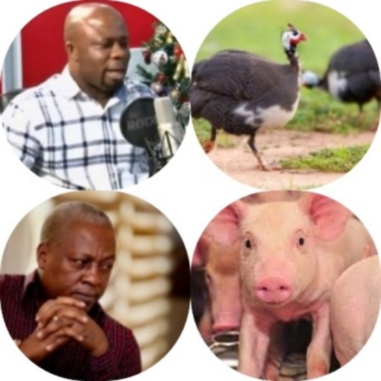 Dear Ghanaians, please don't make a mistake by voting for the #IncompetentMahama