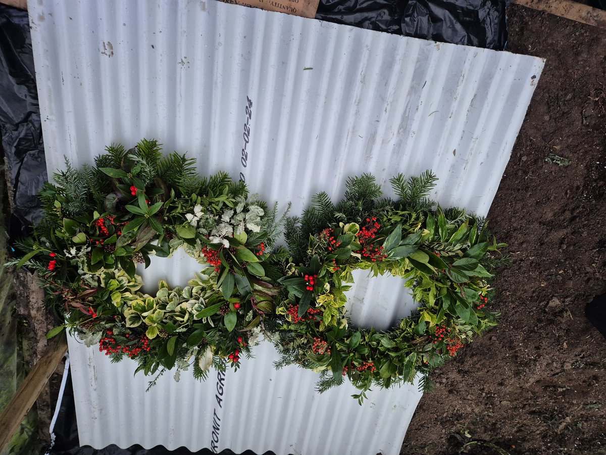 Weekendgardence's tweet photo. Christmas wreaths are now available@weekendgardencentre.
Hand crafted from local natural sources.
Christmas trees in stock-non-shed.
Sat.11-5pm
Sun.12-5pm
Credit  cards accepted.
087 6121285
Signposted w of # #Bandon.
Bandon-8km
Clonakilty-12km https://t.co/Fs1qYsY8AX