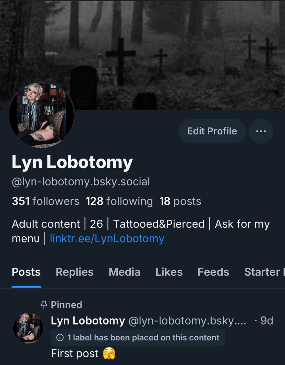 More active over on bluesky🫶