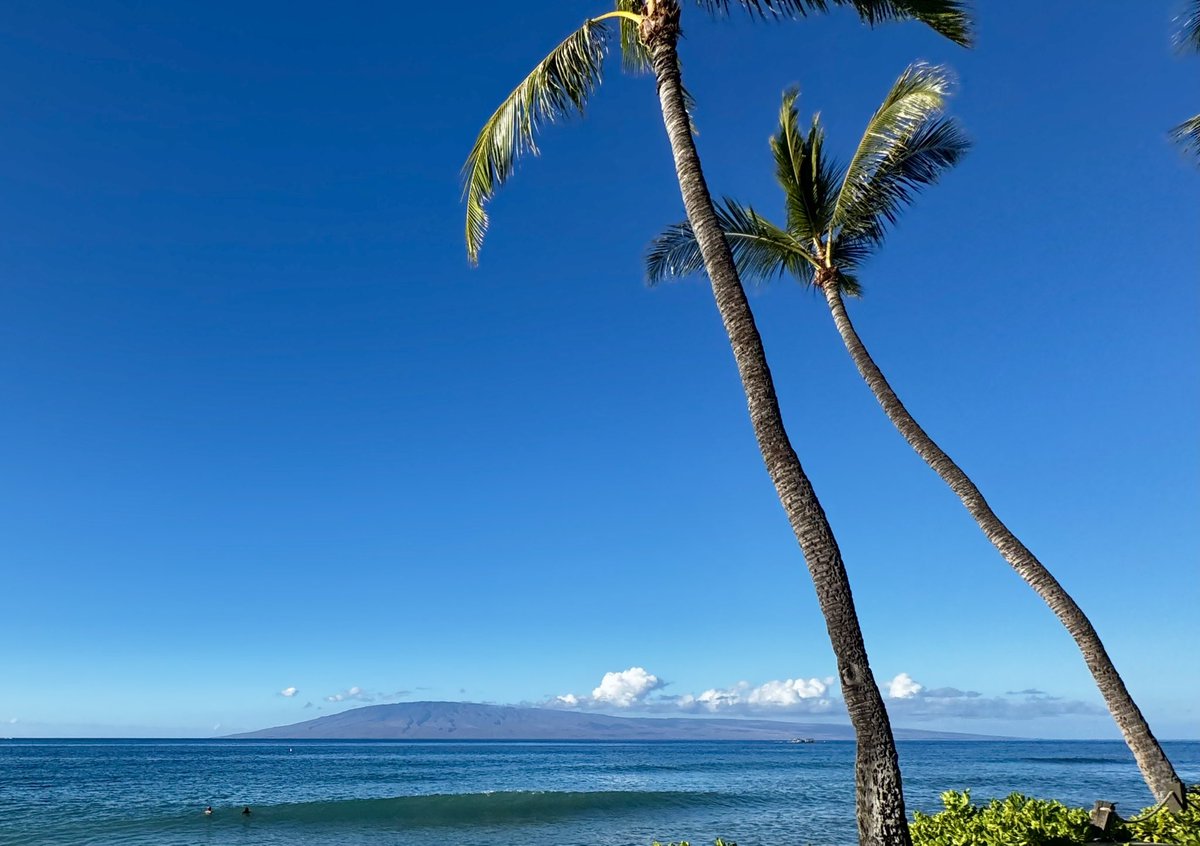 Doc Dave (@forensicdave) on Twitter photo Aloha Trendsetters!! If you’re lucky enough to be here in magical #Maui then hopefully you can be at #OBTS7 in person - another magic day! If you squint - you can make out <a href="/patrickwardle/">Patrick Wardle</a> and <a href="/andyrozen/">Andy Rozenberg</a> preparing for a hard conference day's work!
Streaming: youtube.com/watch?v=Nm0zLW… Aloha Trendsetters!! If you’re lucky enough to be here in magical #Maui then hopefully you can be at #OBTS7 in person - another magic day! If you squint - you can make out <a href="/patrickwardle/">Patrick Wardle</a> and <a href="/andyrozen/">Andy Rozenberg</a> preparing for a hard conference day's work!
Streaming: youtube.com/watch?v=Nm0zLW…
