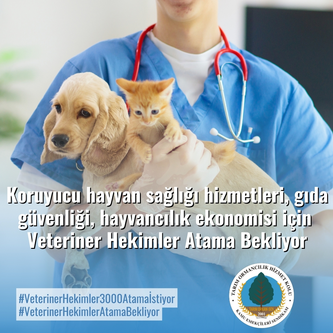 Koruyucu hayvan sağlığı hizmetleri, gıda güvenliği, hayvancılık ekonomisi için
#VeterinerHekimler3000Atamaİstiyor
#VeterinerHekimlerAtamaBekliyor