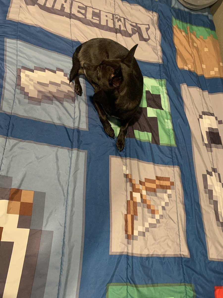 Can I put my Minecraft bed next to yours? ;)