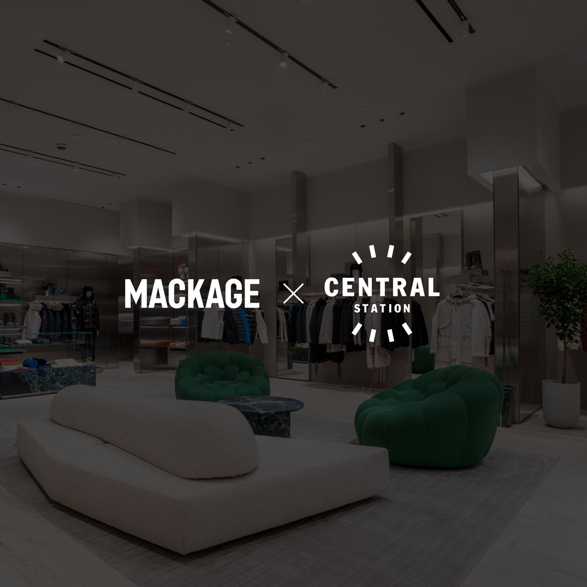 centralstnTO's tweet photo. What happens when creativity meets couture? 

Our new partnership with Mackage! For the grand opening of their Royal Mount store, we helped them dream up these beautiful windows and in-store elements. We can’t wait to keep creating with them. https://t.co/4lkuEbfxMn