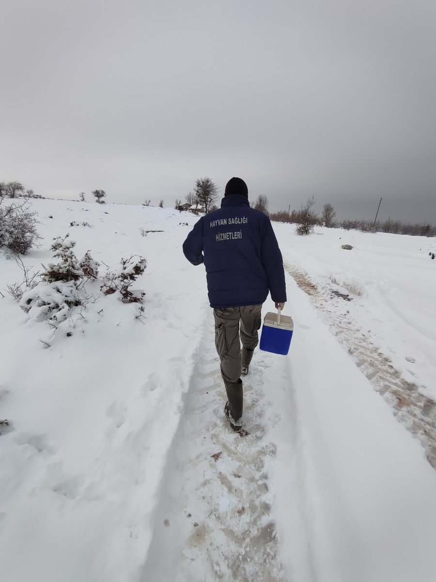 Hızlı acilözüm için Veteriner İşleri Genel Müdürlüğü yeniden kurulmalı ve genç veteriner hakimlerle  donanımlı hale getirilmelidir

#VeterinerHekimlerAtamaBekliyor
#VeterinerHekimler3000Atamaİstiyor
