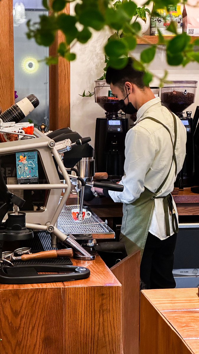 RAloliqi's tweet photo. 🤎☕️ https://t.co/3HQDVSqSxk