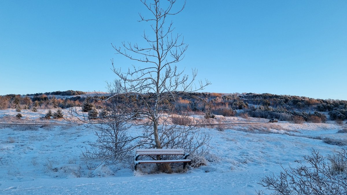 ghostdork's tweet image. Went for a walk around noon here in Reykjavik Iceland, -7c and calm day.. 
Of course properly dressed for that.  😁