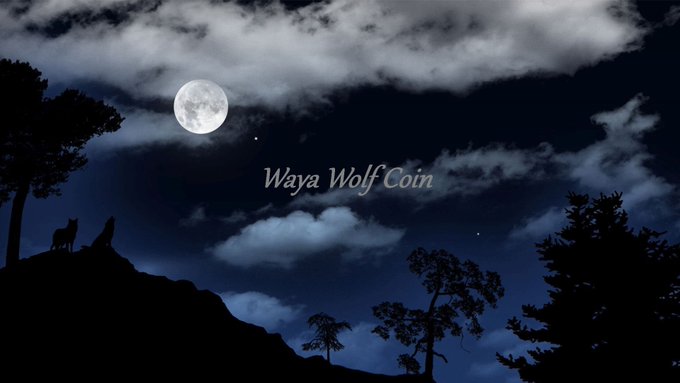 Hello All,

Just to make sure you know our explorer for WW R3 is located at http://5.189.147.158:3030/

The current addnodes are:
addnode=184.148.33.132 
addnode=194.103.107.14 
addnode=23.84.0.82 
addnode=47.41.181.251 
addnode=92.18.38.154

Cheers,
Waya