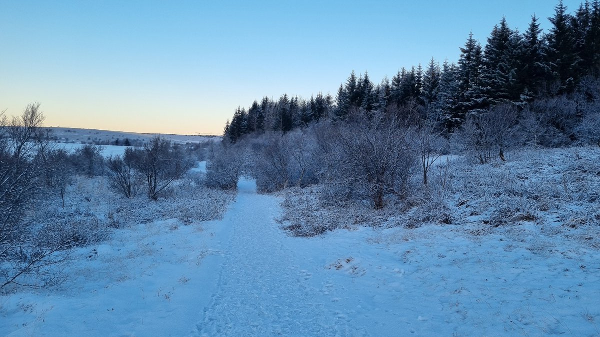 ghostdork's tweet image. Went for a walk around noon here in Reykjavik Iceland, -7c and calm day.. 
Of course properly dressed for that.  😁