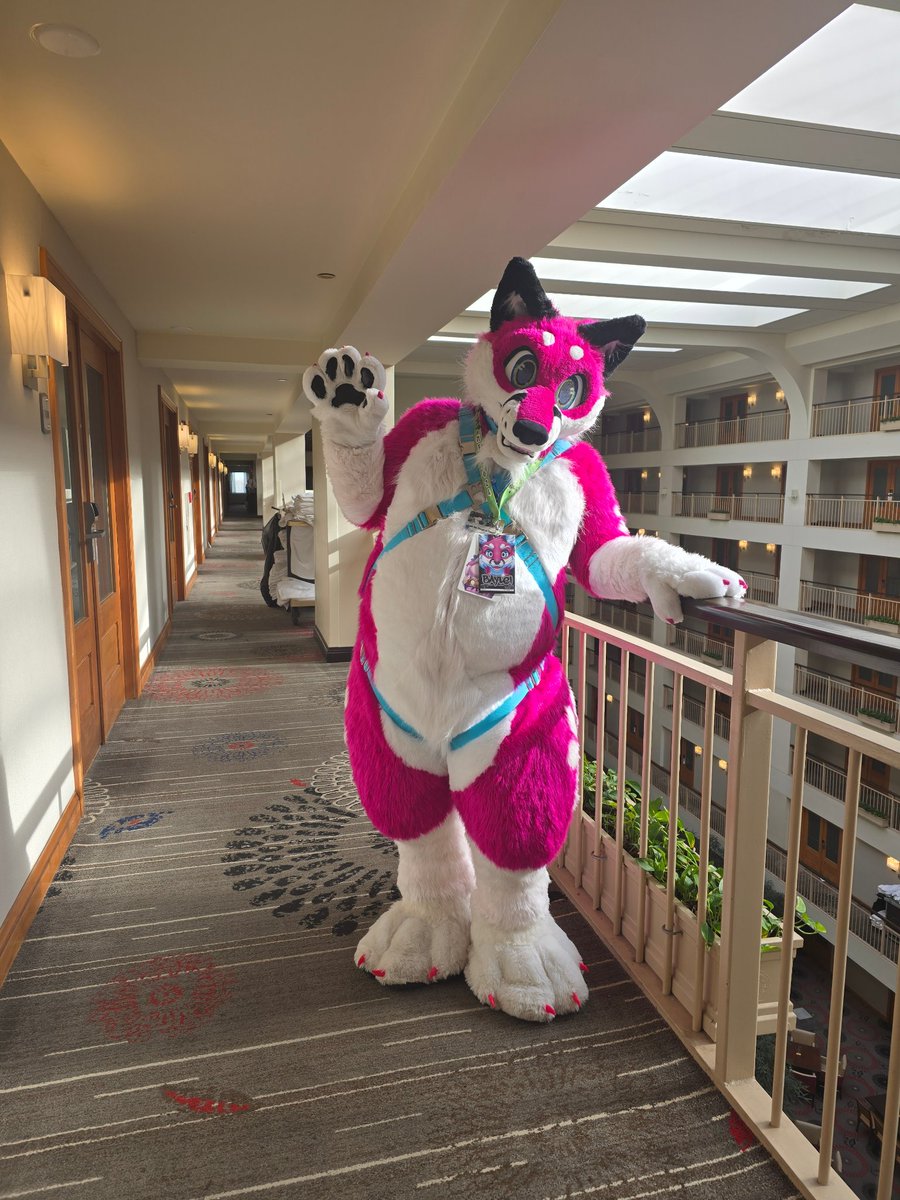 Baylei (@bayleifox) on Twitter photo Happy #FursuitFriday from MFF! π©π¦π©
Hope everyone's having a great time π
βοΈ<a href="/ShagpokeStudios/">Shagpoke Studios</a> Happy #FursuitFriday from MFF! π©π¦π©
Hope everyone's having a great time π
βοΈ<a href="/ShagpokeStudios/">Shagpoke Studios</a>