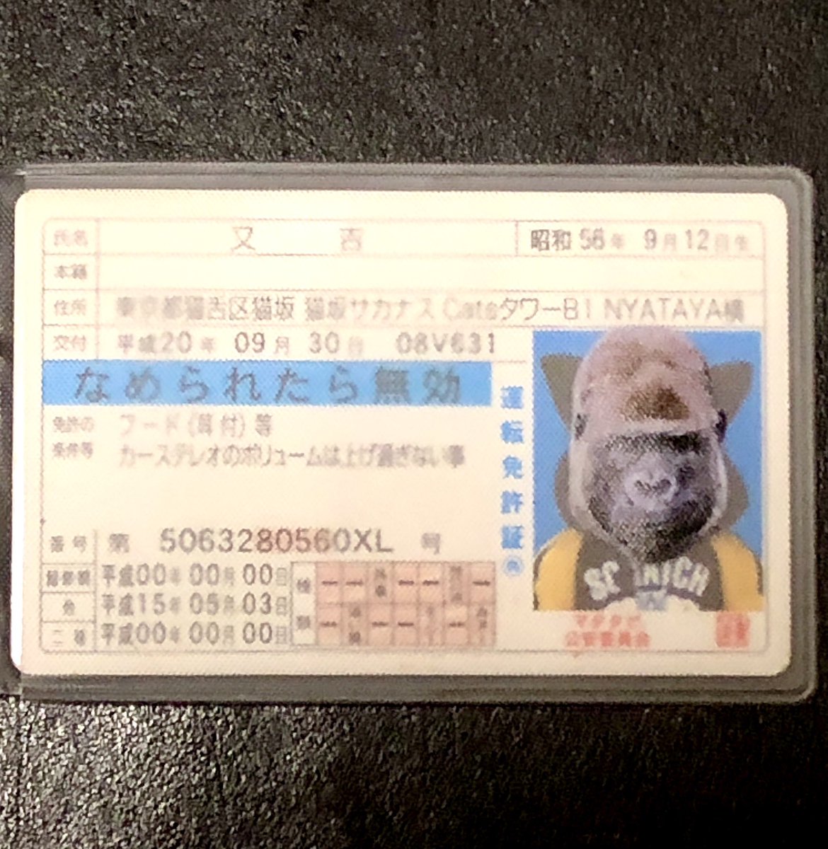 ハイ！もうこれで大丈夫👌

どっからどう見てもゴリラです🦍