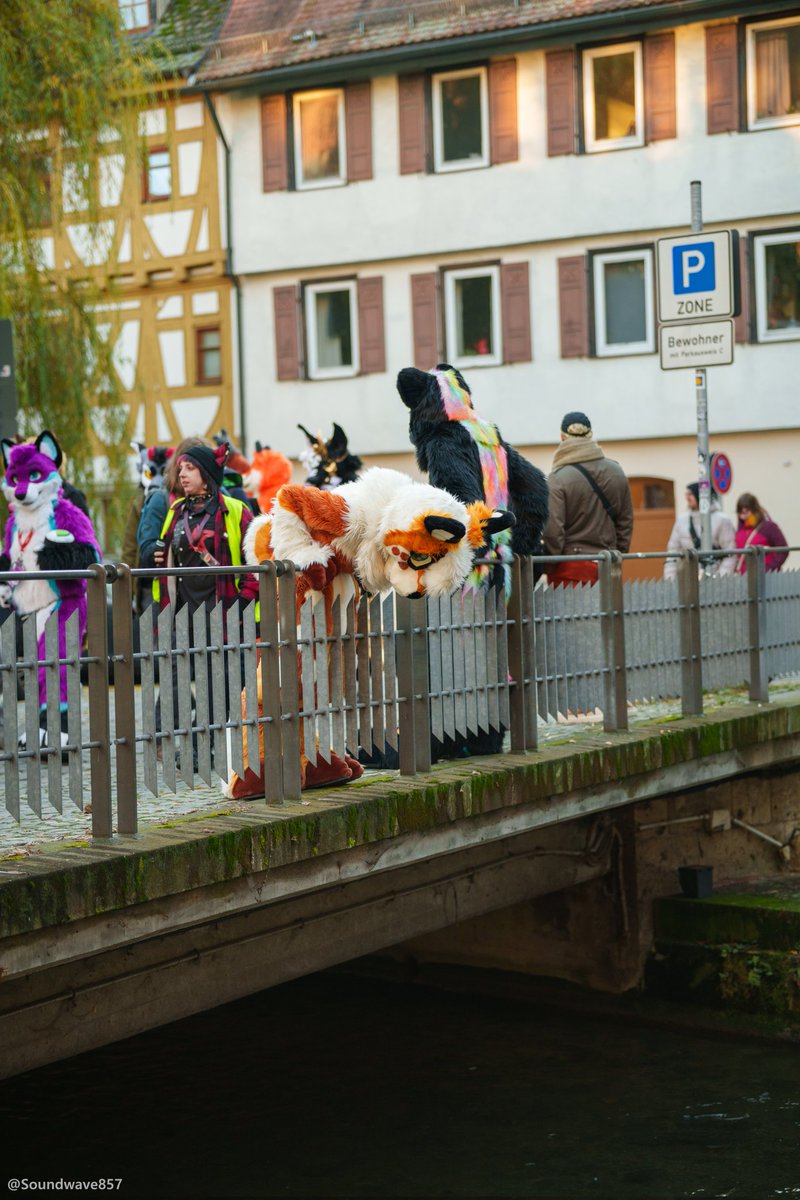 Where Feesh?! 🐟 

📍: Suitwalk Ulm <a href="/ulmerfurs/">ulmerfurs</a> 
📸: <a href="/Soundwave857/">Soundwave 📸</a> 
#FursuitFriday