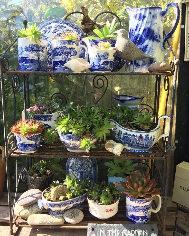 caron_allan's tweet image. More gorgeous crockery used for plants! Not sure this would stand up to our winter weather!
#plants #gardenideas #gardening.