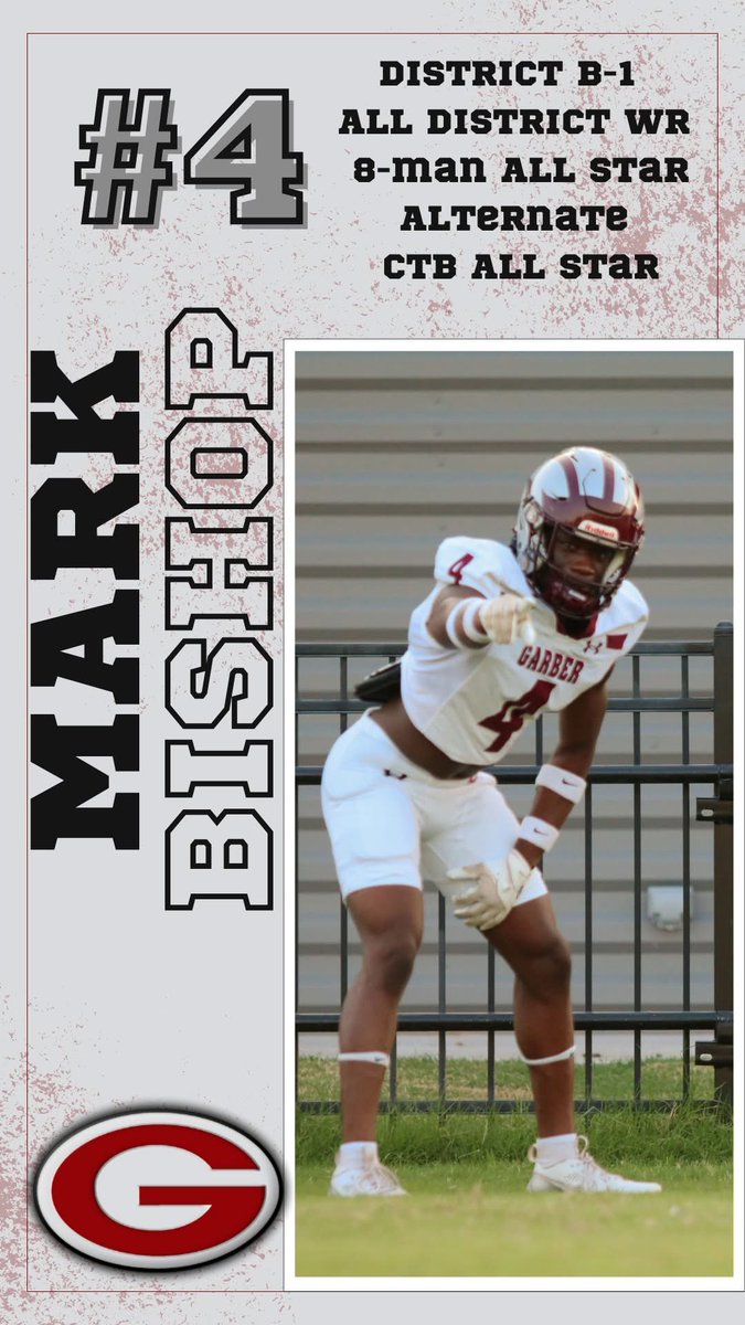 MarkBishop2025 tweet media