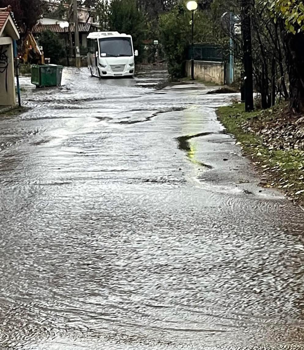 Ομάδα Εθελοντών Δασοπυροσβεστών Διασωστών tweet media