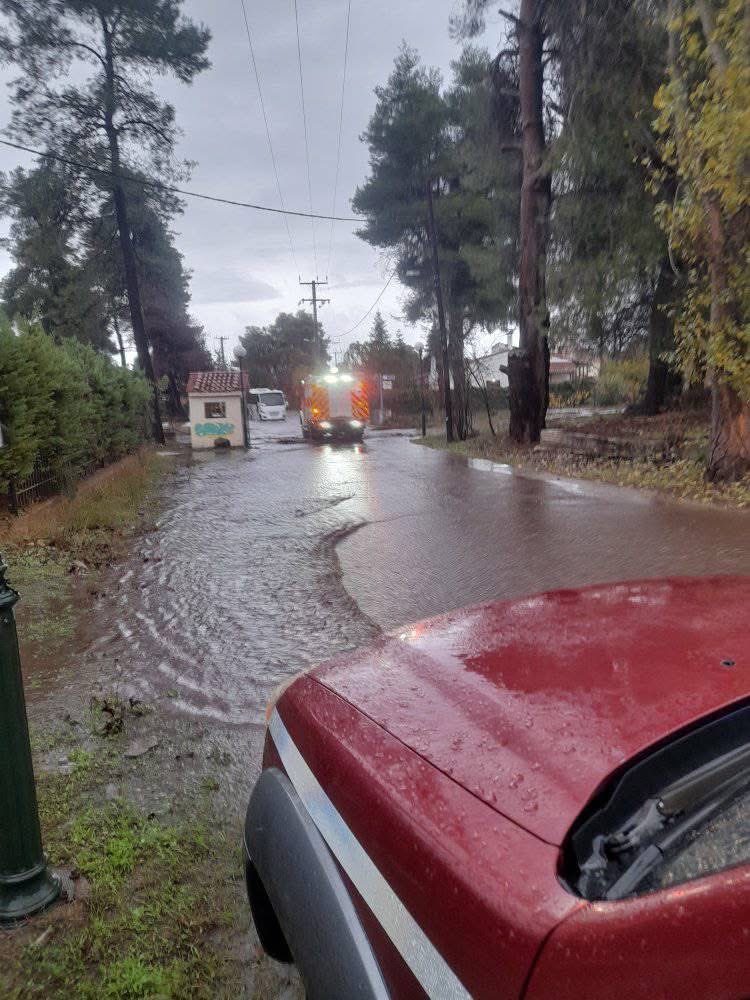 Ομάδα Εθελοντών Δασοπυροσβεστών Διασωστών tweet media