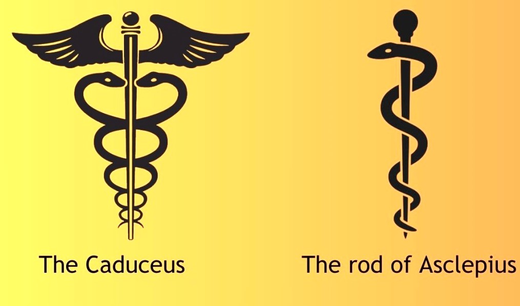 TimN23's tweet image. Asclepius was the ancient Greek god of healing. The modern symbol for the medical profession was adapted from the snake-entwined  rod of Asclepius. The original Hippocratic Oath had physicians swear to Asclepius and his father Apollo.