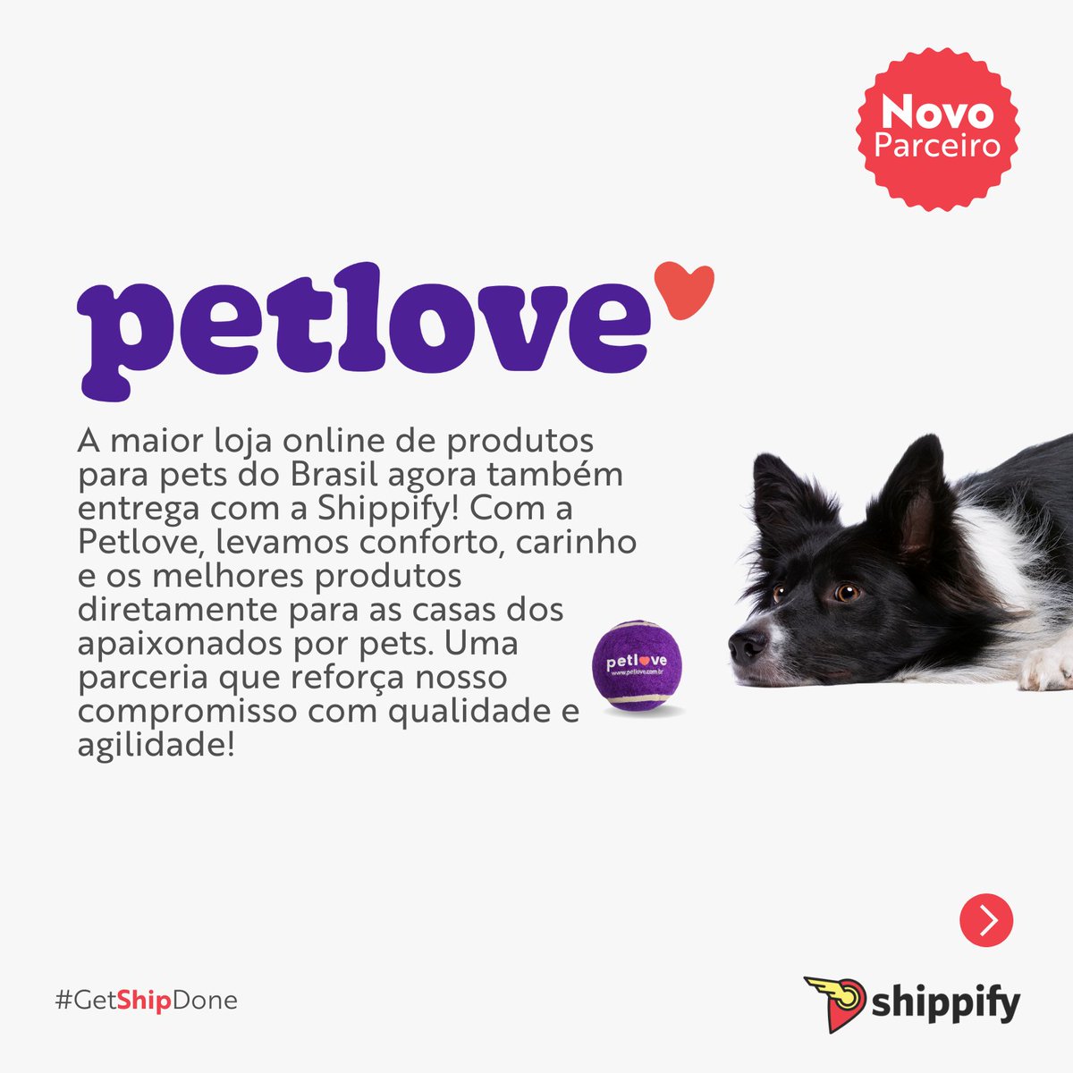 Shippify para Entregadores tweet media